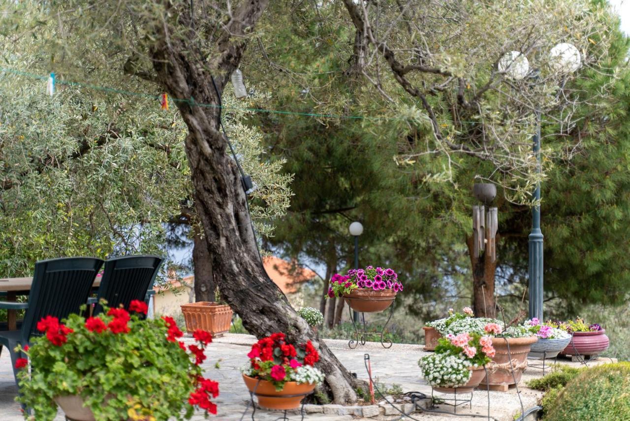Villa Elia Kavala - Mediterranean Holiday Villa Палайон-Ціфікіон Екстер'єр фото