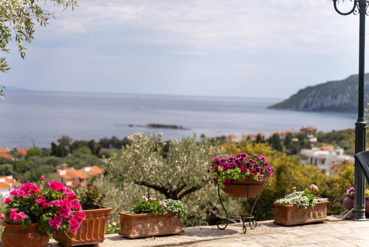 Villa Elia Kavala - Mediterranean Holiday Villa Палайон-Ціфікіон Екстер'єр фото