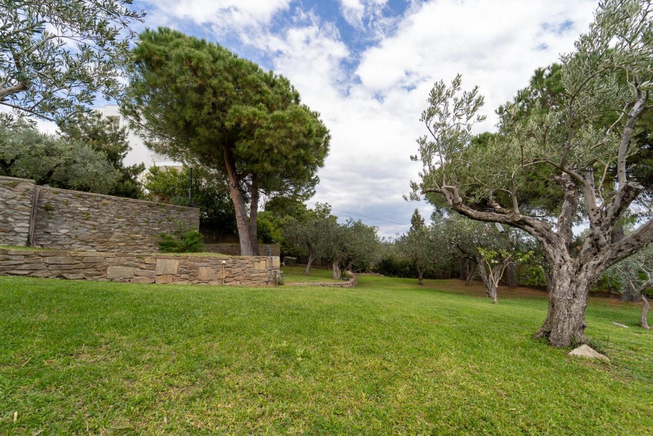 Villa Elia Kavala - Mediterranean Holiday Villa Палайон-Ціфікіон Екстер'єр фото